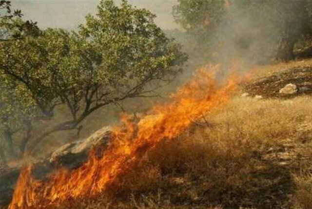 مهار ۳۳ مورد آتش‌سوزی در جنگل‌ها و مراتع فارس