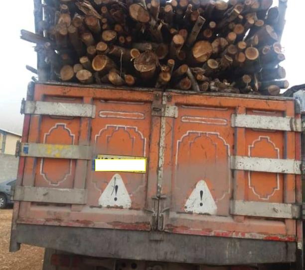 توقیف کامیون حامل چوب غیر مجاز جنگلی در شهرستان کوار