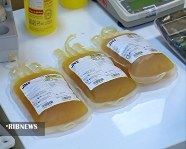 جمع آوری پلاسمای خون ۴۴۵ بیمار بهبود یافته کرونا در شیراز