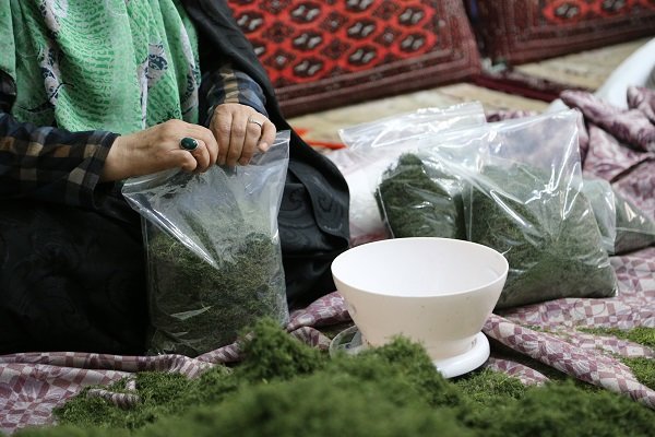 بیش از ۱۲۰۰ زن در شیراز عضو صندوق‌های خُرد روستایی هستند