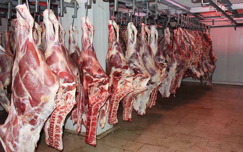 تولید ۳۹۰۰ تن گوشت قرمز در فیروزآباد