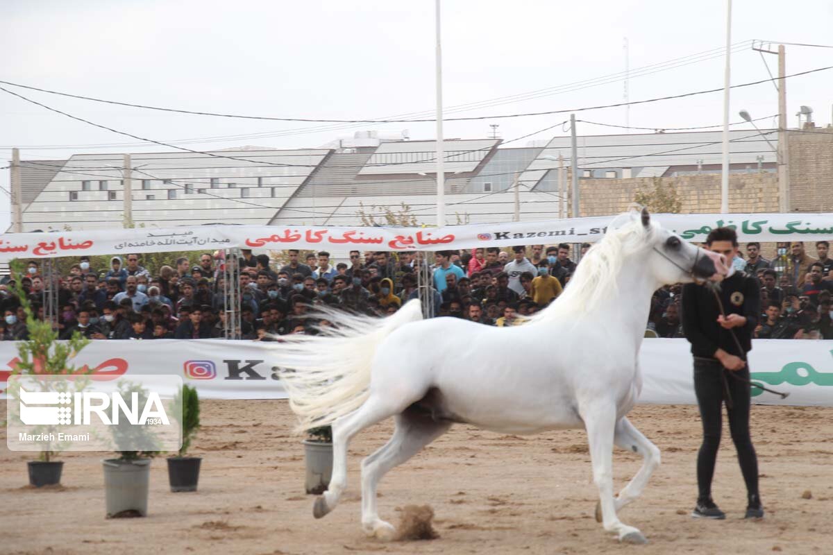 دومین همایش سوارکاران اسب‌های فاخر ایرانی در میبد برگزار شد