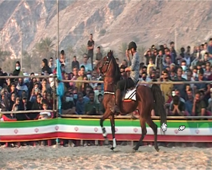 حرکات نمایشی اسب‌های ایران در شهرستان مهر