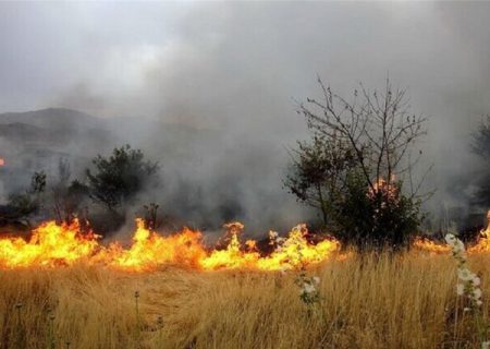 کاهش ۶۰ درصدی آتش سوزی در عرصه‌های طبیعی فارس