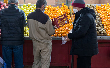 توزیع میوه تنظیم بازار در فارس ۲۶ اسفند شروع می‌شود