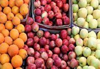 ۷۰ هزارتن میوه تولید استان فارس در بازار توزیع می‌شود