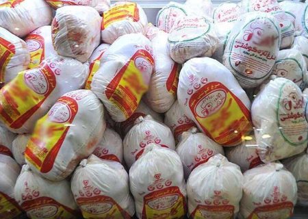 مرغ‌های بدون مشتری در فارس از بین برده شد