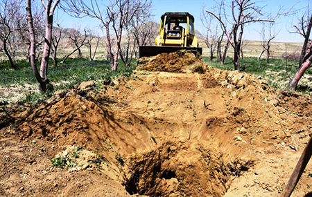 استاندار فارس: تا پایان سال ۲۵درصد از چاه‌های غیرمجاز اطراف تالابها بسته شوند