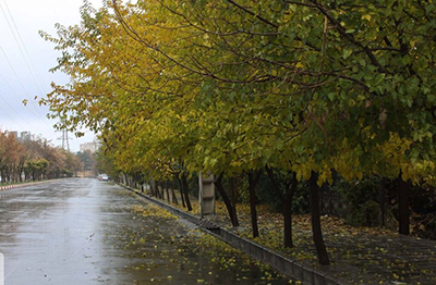 تداوم وقوع بارش‌های رگباری در استان فارس در روزهای آینده