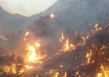 آتش سوزی منابع طبیعی تنگ خاص ممسنی مهار شد