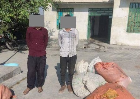 عاملان قطع بلوط‌های زاگرس در کازرون دستگیر شدند