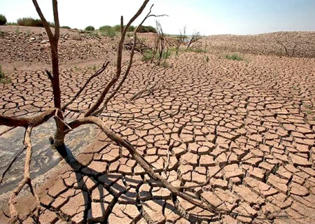 استاندار فارس: اصلاح الگوی کشت بهترین راهکار مقابله با خشکسالی است