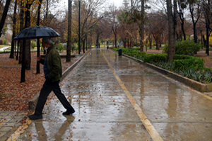شهردار شیراز: برای بارندگی‌ها آمادگی داریم
