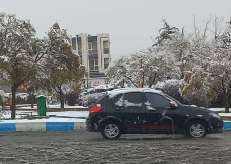 بارش برف چهره ۶ شهرستان فارس را سفیدپوش کرد