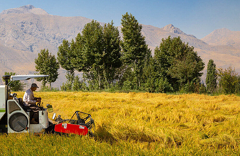 “همبست” و نقش آن در پایداری منابع کشاورزی استان فارس