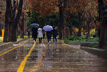 هوای شیراز ۲۲ اسفند بارانی است