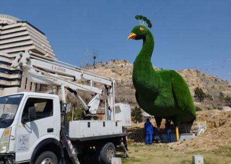 طاووس جدید هم به دل شیرازی‌ها ننشست