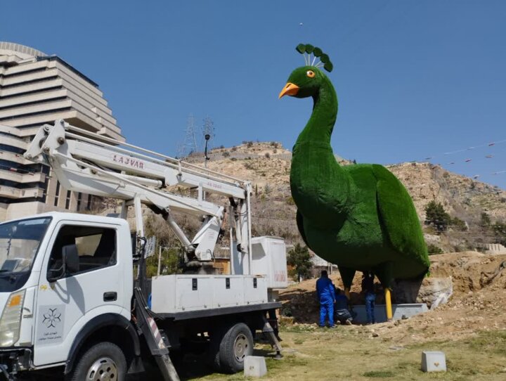 طاووس جدید هم به دل شیرازی‌ها ننشست