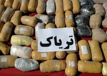 ۷۶۵ کیلوگرم مواد مخدر طی ۲ روز در فارس کشف شد