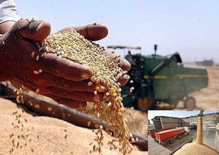 رایزنی برای تغییر نرخ خرید و مقابله با قاچاق گندم ادامه دارد