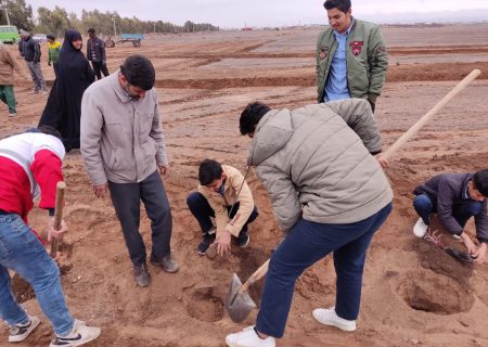 شرکت دانش‌آموزان اناری در پویش کاشت یک میلیارد نهال