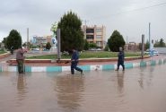 تلاش پرسنل شهرداری انار برای رفع آبگرفتگی معابر شهری